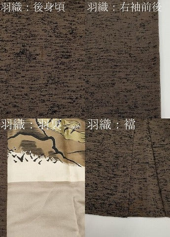 平和屋着物●極上　男性　紬　アンサンブル　色無地　憲法色地　逸品　CYAA4871s6