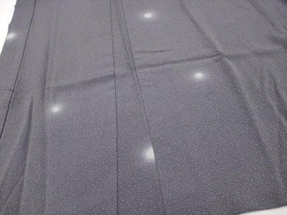 平和屋本店∞極上　工芸呉服　芥川　長羽織　あられ文　蛍暈し　濃鼠色地　たとう紙付き　逸品　CYAA4965s6