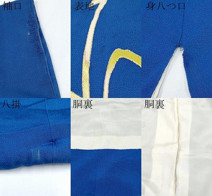 平和屋本店●極上　お引きずり・お引き摺り　色留袖　文字文　金彩　鬼しぼ縮緬　瑠璃紺色地　逸品　CYAA4989s6