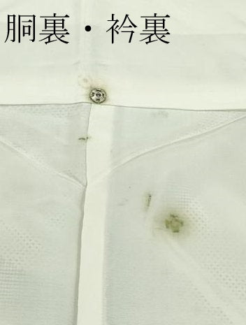 平和屋本店●極上 本場大島紬 白大島 160亀甲 切嵌文様 逸品 CZAA1253s5