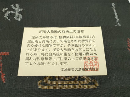 平和屋本店■希少　本場大島紬　龍郷絣　一元絣　興紬工房　証紙付き　逸品　CZAA1839s5