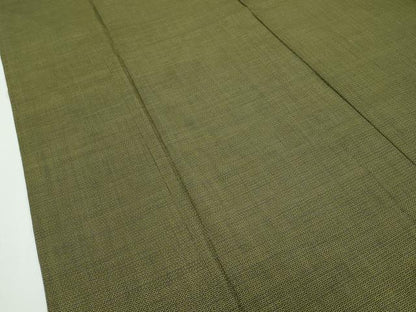 平和屋本店■極上　本場大島紬　単衣　アンサンブル　袖なし羽織　120亀甲　逸品　CZAA1895s5