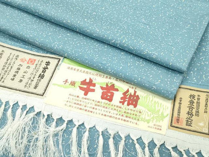 平和屋本店●極上 石川県指定無形文化財 牛首紬 白山工房 手織り 証紙付き 逸品 CZAA2214s5