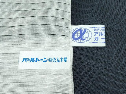 平和屋着物＊極上 夏物 十代目 歌舞伎役者 坂東三津五郎 小紋 立波紋紗 暈し染め 逸品 CZAA2883s5