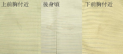 平和屋着物▽極上 本塩沢 やまだ織 訪問着 単衣 染色作家 桐村博 訪問着 霞文 逸品 CZAA2919s5