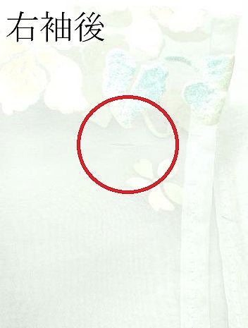 平和屋着物●極上 お引きずり・お引き摺り・引き振袖 オーガンジー 草花文 暈し染め 逸品 CZAA2979s5
