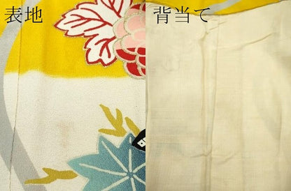 平和屋着物▽極上 アンティーク 大正ロマン 訪問着 単衣 駒刺繍 立涌草花文 金銀彩 逸品 CZAA3324s5