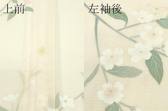 平和屋着物■極上　夏物　訪問着　絽　草花文　浅黄色地　逸品　未使用　CZAA3570s5