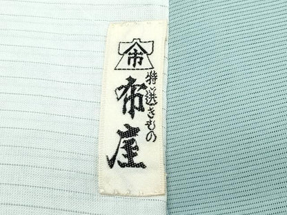 平和屋着物＊極上 夏物 訪問着 絽 草花霞文 銀彩 青白橡色地 逸品 未使用 CZAA3571s5