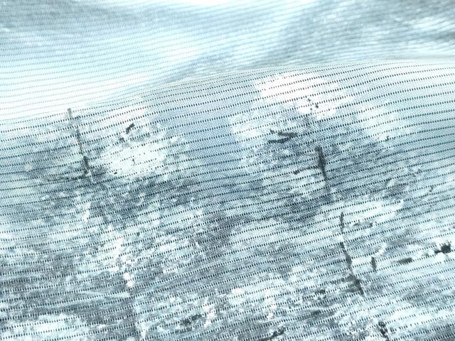 平和屋着物▽極上 訪問着 無双 紗袷 紗×絽 手描き 遠山樹林文 暈し染め 薄青色地 さが美扱い 逸品 CZAA3574s5