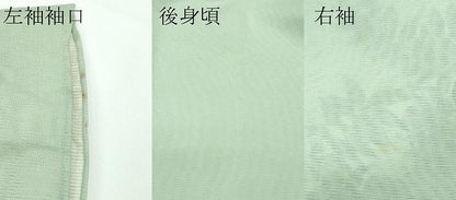 平和屋着物▽極上 訪問着 無双 紗袷 紗×絽 手描き 藤花房 暈し染め 柳茶色地 逸品 CZAA3575s5
