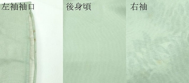 平和屋着物▽極上 訪問着 無双 紗袷 紗×絽 手描き 藤花房 暈し染め 柳茶色地 逸品 CZAA3575s5