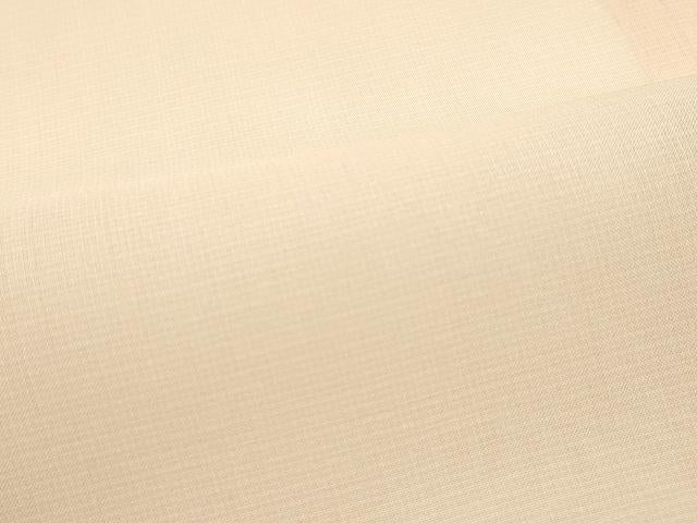 平和屋本店＊極上 夏物 京都祇園の老舗 ぎをん齋藤 色無地 雄黄色 紗 たとう紙付き 逸品 CZAA3584s5