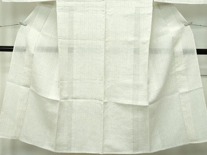 平和屋着物＊極上 夏物 男性 小紋 綿麻 逸品 CZAA3735s5
