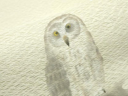 平和屋着物●極上 スリーシーズン 春夏秋 太鼓柄袋帯 櫛織 手描き 梟 フクロウ 逸品 CZAA3933s5