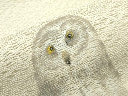 平和屋着物●極上 スリーシーズン 春夏秋 太鼓柄袋帯 櫛織 手描き 梟 フクロウ 逸品 CZAA3933s5
