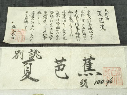 平和屋着物＊極上 夏物 絹芭蕉 夏芭蕉 伝統工芸士 白川貞夫 トンボ 黒地 十日町白新染織謹製 証紙付き 逸品 未使用 CZAA4073s5