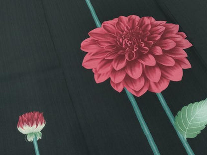 平和屋着物＊極上 夏物 撫松庵 訪問着 セオアルファ 草花文 黒地 洗える着物 逸品 CZAA4222s5