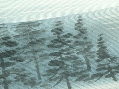 平和屋着物＊極上 夏物 訪問着 絽 風景文 暈し染め 革色地 逸品 未使用 CZAA4263s5