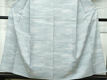平和屋着物＊極上 夏物 小紋 絽霞文 暈し染め 逸品 未使用 CZAA4267s5