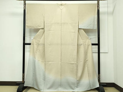 平和屋着物＊極上　夏物　訪問着　絽縮緬　たたき染め　逸品　未使用　CZAA4418s6