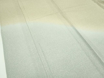 平和屋着物＊極上　夏物　訪問着　絽縮緬　たたき染め　逸品　未使用　CZAA4418s6
