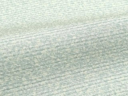 平和屋着物＊極上　夏物　訪問着　絽縮緬　たたき染め　逸品　未使用　CZAA4418s6