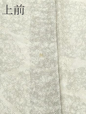 平和屋着物＊極上 夏物 訪問着 霞紋紗 暈し染め 逸品 CZAA4458s6