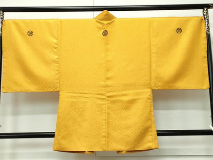 平和屋着物■極上　男性　色無地・紋付き羽織セット　柑子色　舞台衣装　洗える着物　逸品　CZAA4590s6