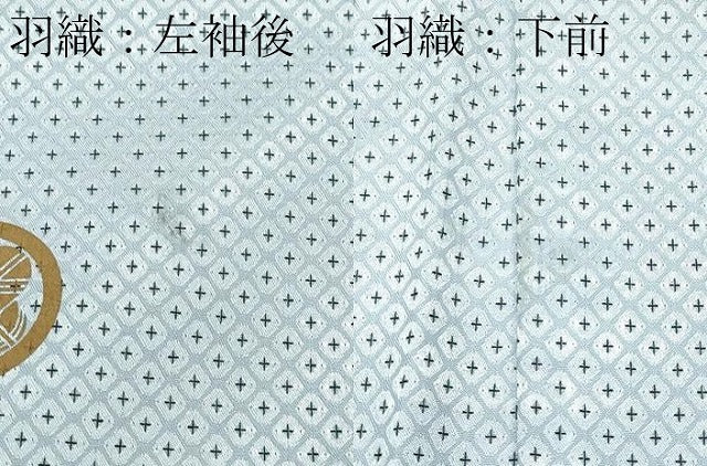 平和屋着物■極上　男性　色無地・紋付き羽織セット　キングサイズ　豆がら茶色　舞台衣装　洗える着物　逸品　CZAA4591s6