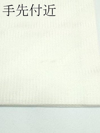 平和屋着物●極上　九寸名古屋帯　唐織　楽器草花文　逸品　CZAA4957s6