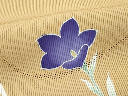 平和屋着物●極上　訪問着　無双　紗袷　紗×紗　草花文　表：海松茶色　裏：飴色地　逸品　未使用　CZAA5099s6