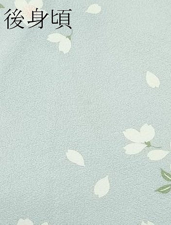 平和屋着物●上質な長襦袢　袷　舞桜　蕎麦切色地　逸品　未使用　CZAA5110s6