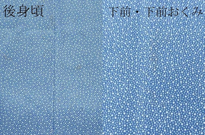 平和屋着物●極上　人間国宝　小宮康孝　江戸小紋　大小あられ　薄花色地　三越扱い　逸品　CZAA5217s6