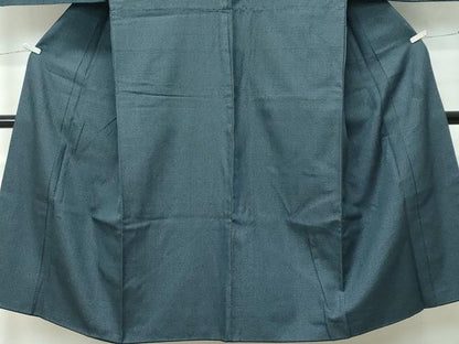 平和屋着物●極上　男性　お召　キングサイズ　120亀甲　逸品　CZAA5263s6