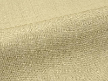 平和屋着物●極上　インド・アッサム　野蚕糸　手織　ムガシルク　色無地　榛色　逸品　CZAA5296s6