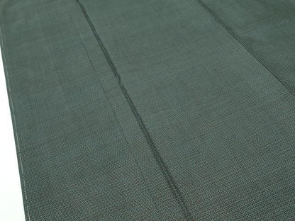 平和屋着物●極上　男性　本場大島紬　アンサンブル　長襦袢セット　100亀甲　総詰め　逸品　未使用　CZAA5399s6