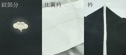 平和屋着物●極上　本場琉球紅型　琉球びんがた　知念紅型研究所　知念貞男　黒留袖　御所解文　逸品　CZAA5630s6