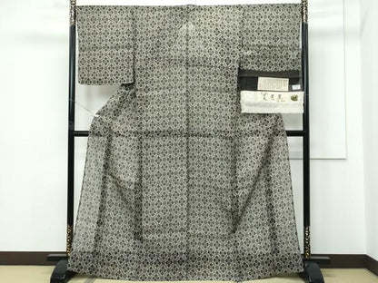 平和屋着物＊極上 夏物 絹芭蕉 夏芭蕉 伝統工芸士 白川貞夫 花菱文 白新染織謹製 証紙付き 逸品 未使用 CZAA5649s6
