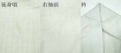 平和屋本店●極上　京都祇園の老舗　ぎをん齋藤　訪問着　紬地　絞り　辻が花　絹鼠色地　たとう紙付き　逸品　CZAA5657s6