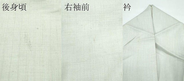 平和屋本店●極上　京都祇園の老舗　ぎをん齋藤　訪問着　紬地　絞り　辻が花　絹鼠色地　たとう紙付き　逸品　CZAA5657s6