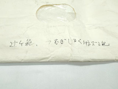平和屋本店●極上　京都祇園の老舗　ぎをん齋藤　訪問着　紬地　絞り　辻が花　絹鼠色地　たとう紙付き　逸品　CZAA5657s6