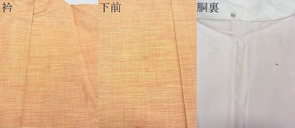 平和屋着物■上質な紬　紬地　霞文　逸品　DAAD4303we