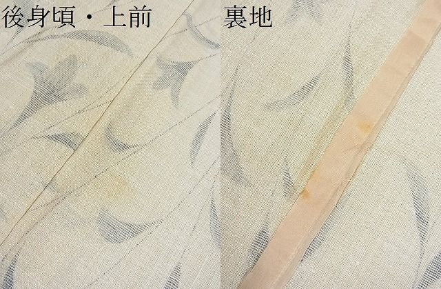平和屋着物■夏物　小紋　草花文　DAAG4071fe