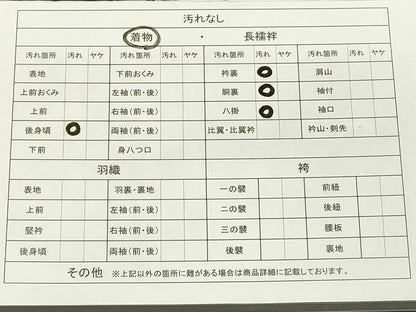 平和屋着物■上質なお召 人物風景文 正絹 逸品 DAAI2887ox