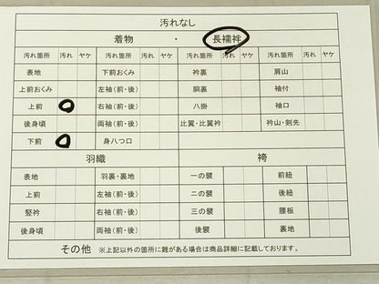 平和屋着物■長襦袢 無双仕立て 菊地紋 暈し染め 正絹 逸品 DAAI2956ox