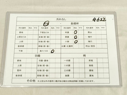 平和屋着物■上質な紬 色紙重ね文 逸品 DAAJ4622tw