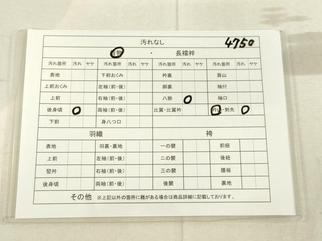 平和屋着物■付下げ　青海波　逸品　DAAJ4750tw