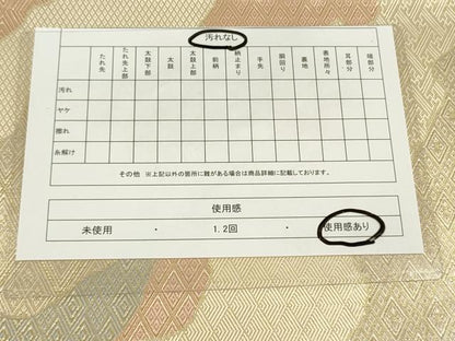 平和屋着物◎佐賀錦 両面 六通柄袋帯 道長吉祥文 伝統工芸 金糸 正絹 逸品 DAAK2762ob