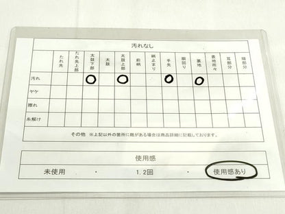 平和屋着物◎六通柄袋帯　唐織　地紙草花文　金糸　正絹　逸品　DAAK7732xg